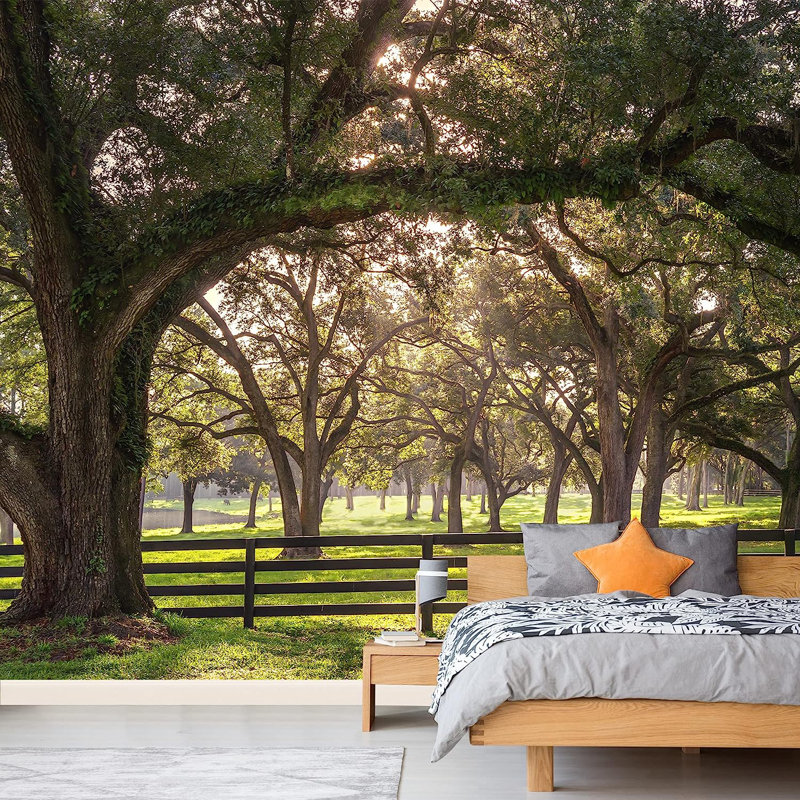 Oak Tree Branch With Farm Fence In The Rural Countryside, 66" L x 96" W