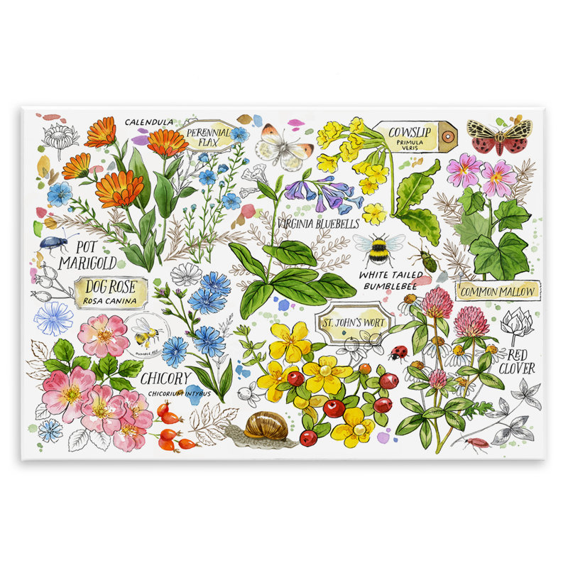 "Diverses herbes", art mural par Jane Maday, H 13 po x l 19 po