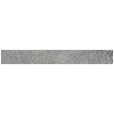 The Wilds 24'' L x 3'' W Porcelain Bullnose Tile Trim