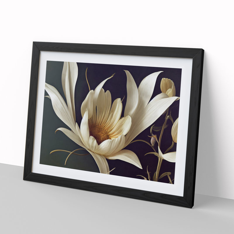 Enviable Flower - Single Picture Frame Print, Black, 46cm H x 64cm W