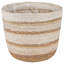 Cashaun Planter-1028848121