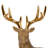Ibrahim Animals Figurines & Sculptures