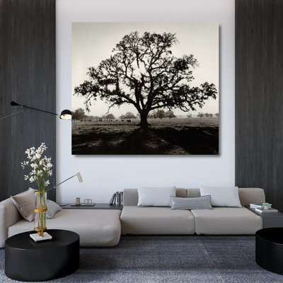 Oaktree, Sunrise
