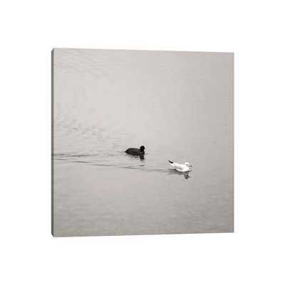 Ying And Yang by Lena Weisbek - Wrapped Canvas Print