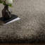 Taiwo Shaggy Taupe Area Rug-1964165653