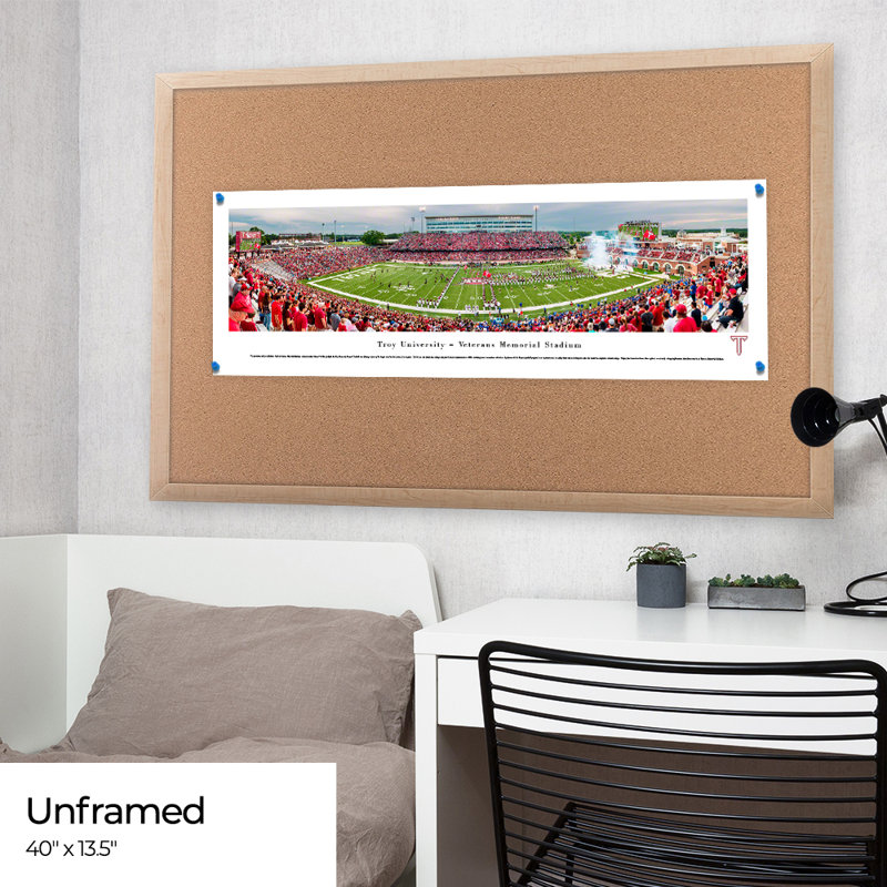 Troy Football Panoramic Print, 13.5" H x 40" W x 0.38" D, Unframed