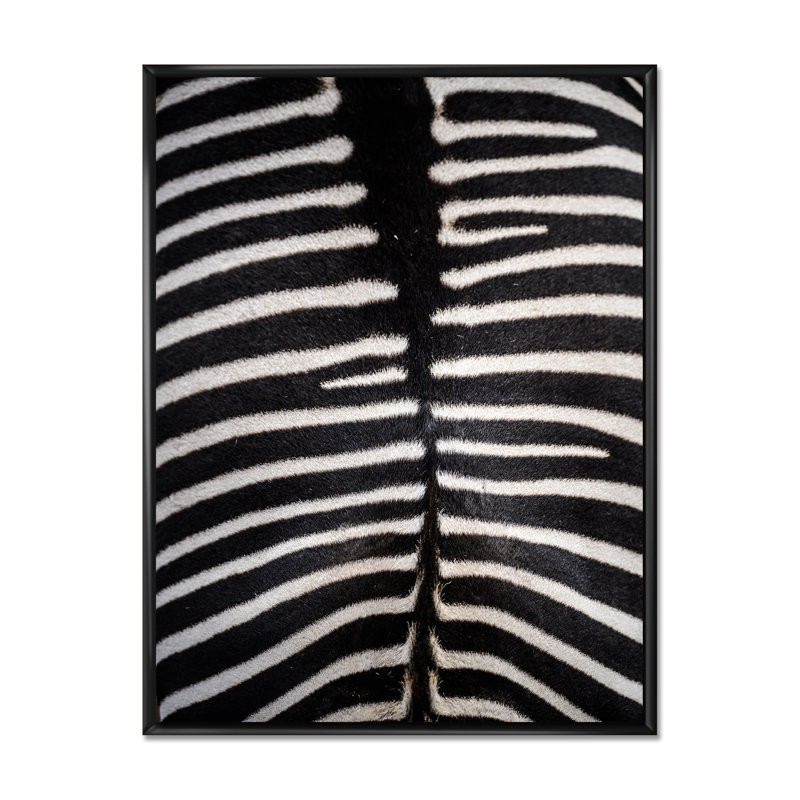 Peau de zèbre - reproduction de cadre photo sur toile, H 20 po x l 12 po x P 1 po, Toile à cadre flottant noir