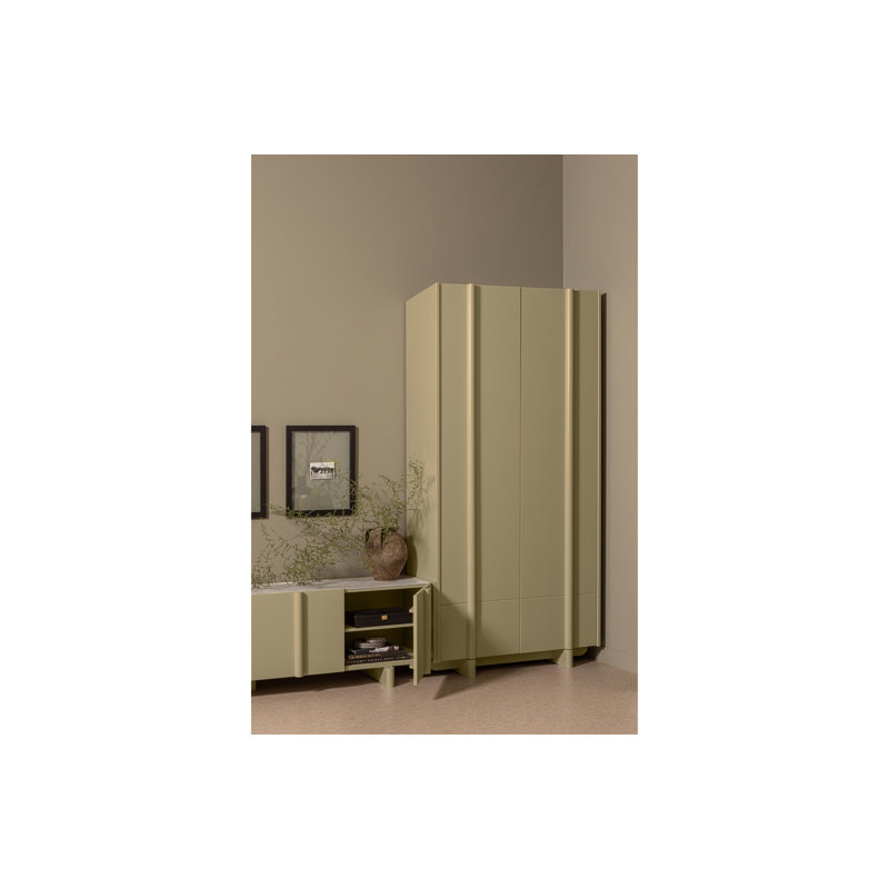Basu 2 -Door 5 -Shelf Storage Cabinet