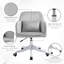 Allysin Office Chair with Lumbar Massage Pillow-316604749
