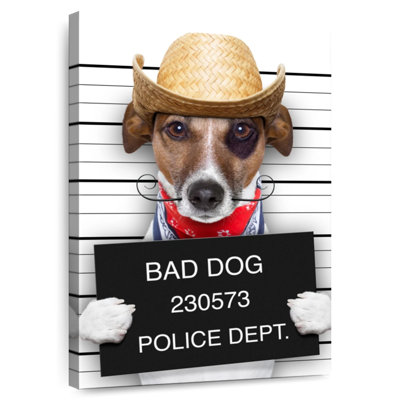 Bad Dog Mugshot