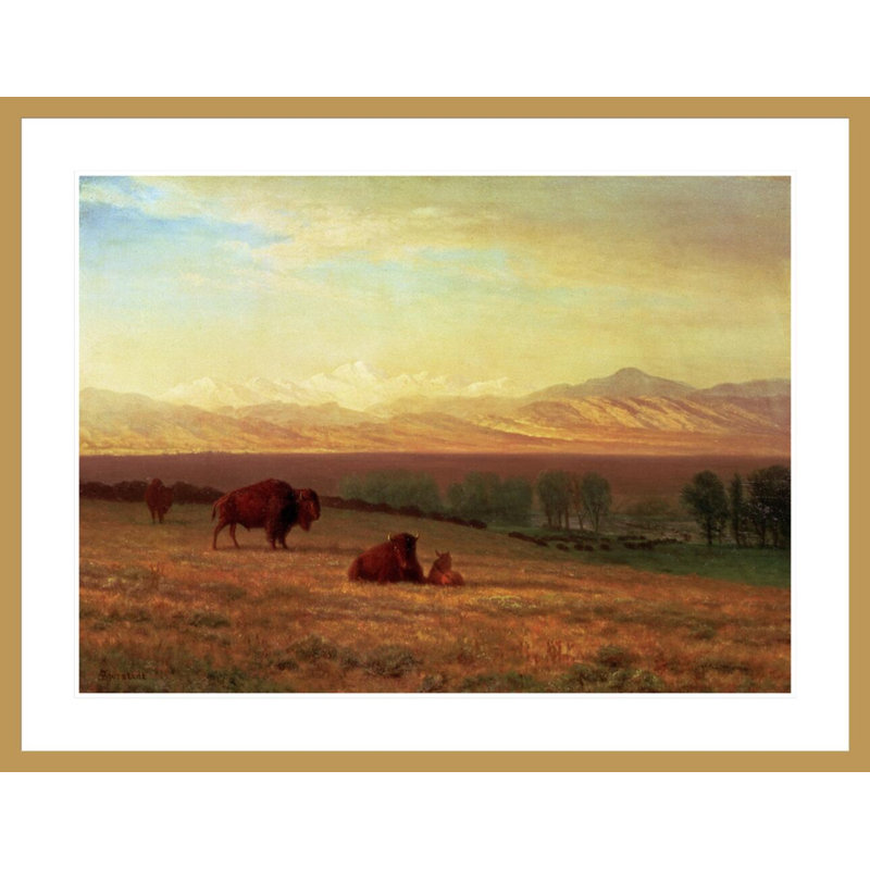 «Buffalo on the Plains» par Albert Bierstadt - Impression sur toile, H 32,23 po x l 41,5 po