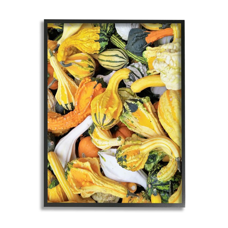 «Mixed Autumn Gourd Arrangement», estampe numérique par Lil 'Rue, H 14 po x l 11 po x P 1,5 po, Giclée encadrée noir minuit
