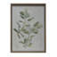 Décoration murale encadrée en bois et verre Botanical Image