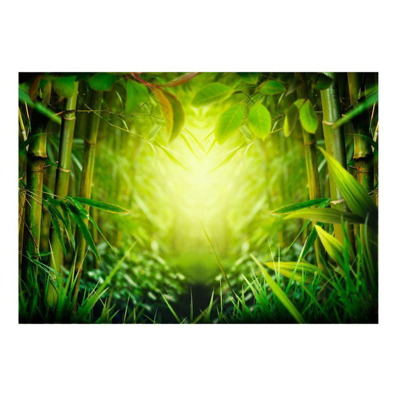 Aneiro Peel & Stick Wall Mural, 6.83' L x 115" W