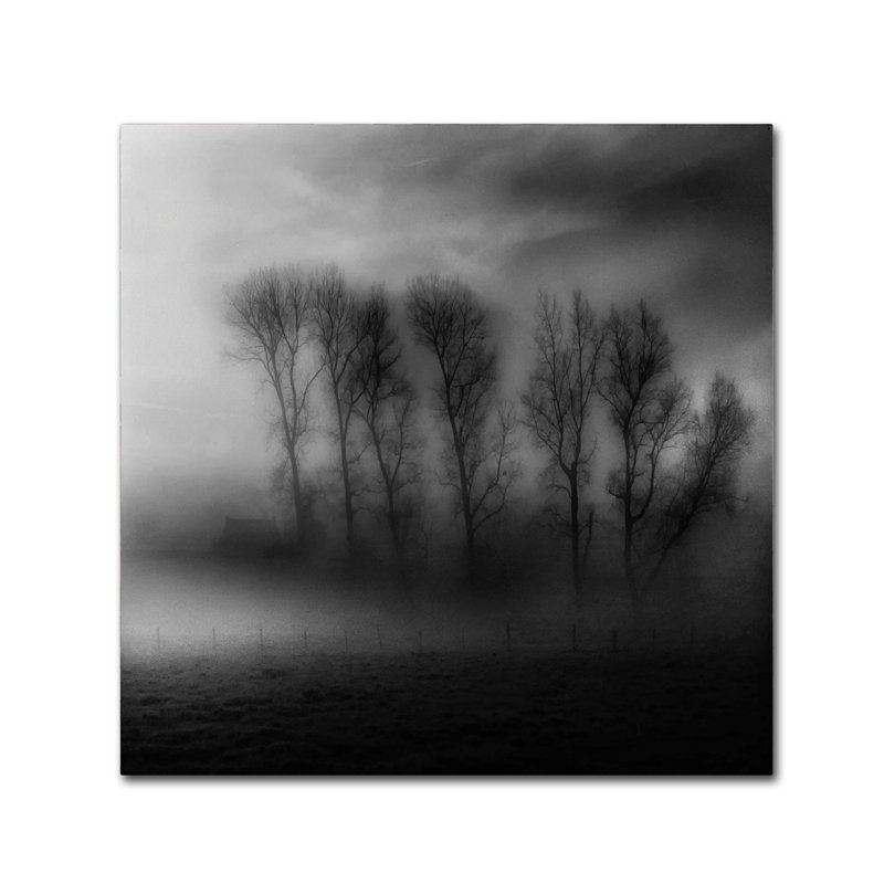 « 50 stores of fog », impression sur toile tendue, H 35 po x l 35 po