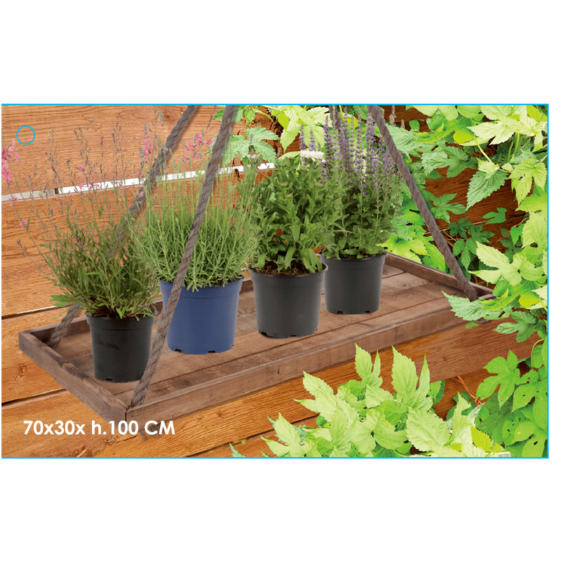 Brigman Wood Saucer Plant Stand, 100cm H x 70cm W x 30cm D