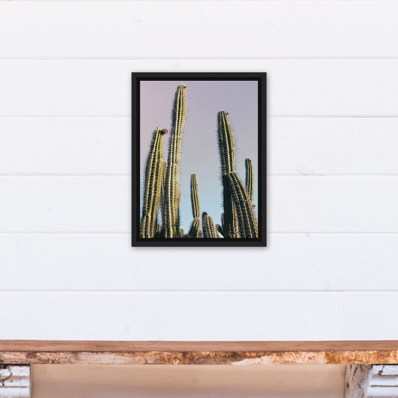 Grand cactus sur toile, H 17,75 po x l 13,75 po x P 1,75 po, Cadre flottant noir