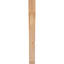 Attelle de genou Legacy-64751483-64784844
