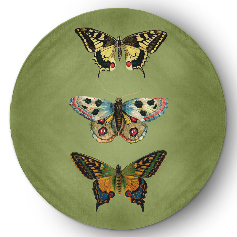 Angelys Chenille Indoor Rug, Round 5'