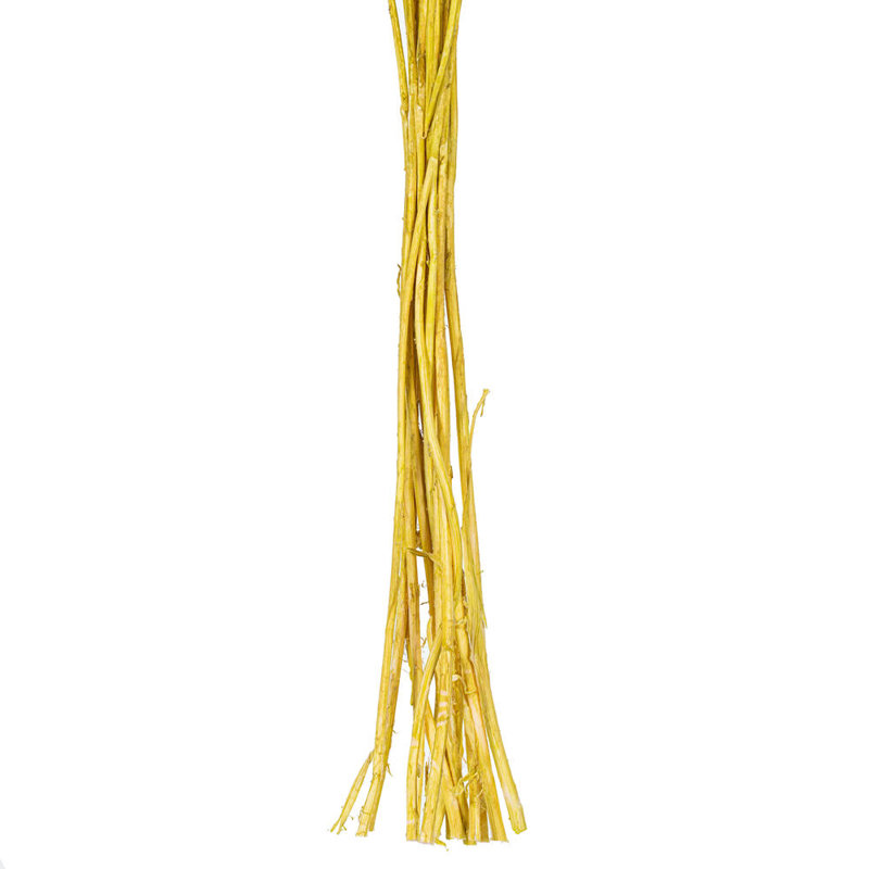 Vickerman 16-20" Natural Dried Bleached Craspedia Bunch 1.75 oz., Approximately 15-18 heads. This is a natural product, dimensions and color may vary plant to plant.