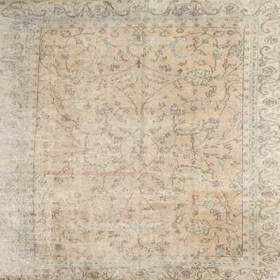 Oriental Indoor Rug