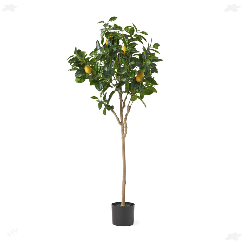 Artificial Lemon Tree For Home Wall