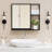 Julina Holsworthy Metal Wall & Accent Mirror