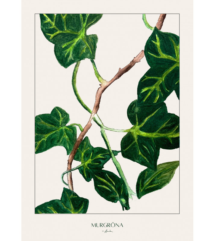 Wrapped Canvas Print, 91.44 cm H x 60.96 cm W