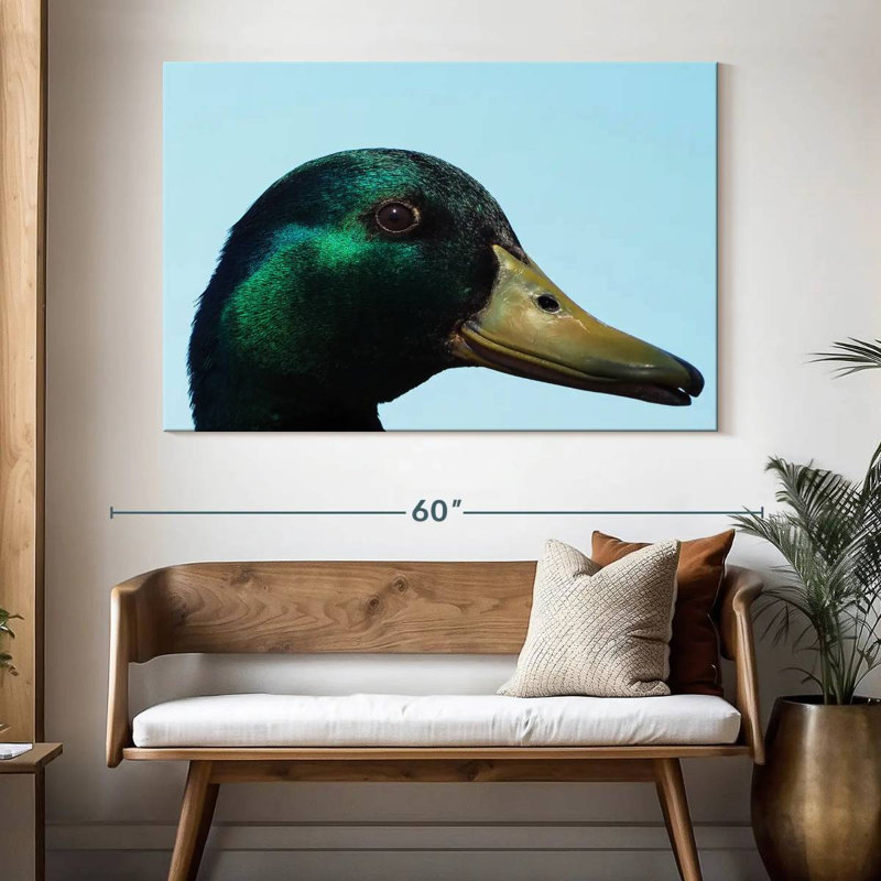 Mallard Duck Close Up, 34" H x 51" W
