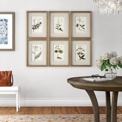 "Green Floral Botanical Study" by Grace Feyock Matted Distressed Gold Framed Graphic Art 