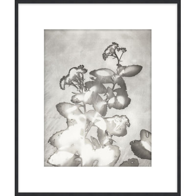 Lucent Botanicals 6, reproduction d'art encadrée