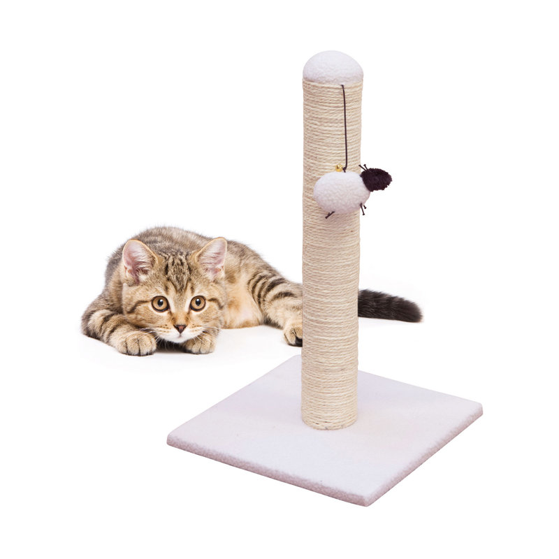 Scratching Post