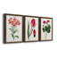 Roseat Blooms I - ensemble de 3 peintures sur toile encadrées-828588948-828588949