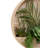 40cm Faux Succulent in Wood Planter