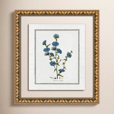 Soft Botanical I - Framed Art Full Bleed