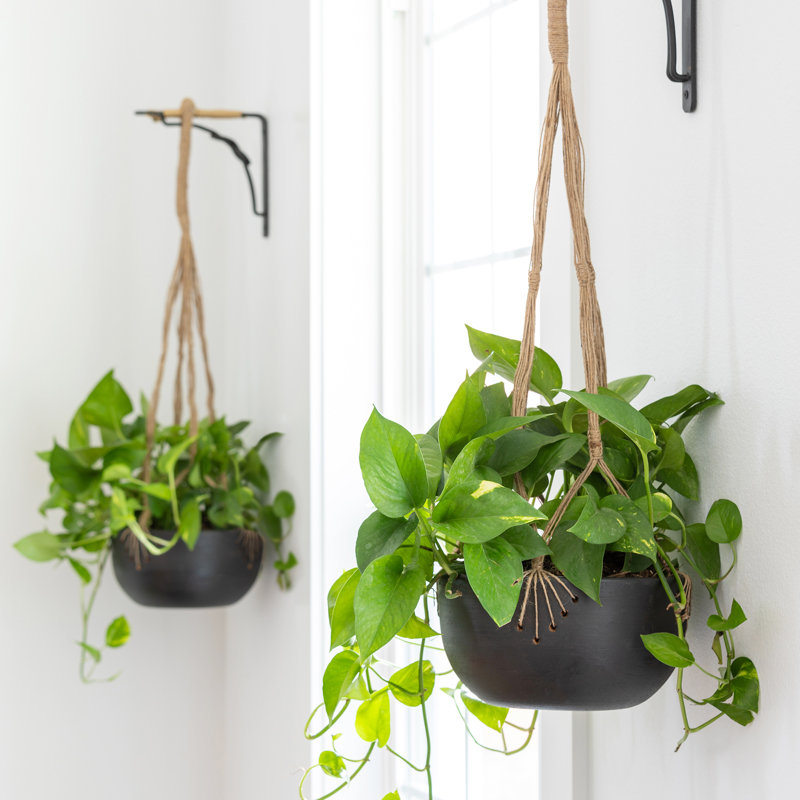 Rustic Modern Hanging Planter