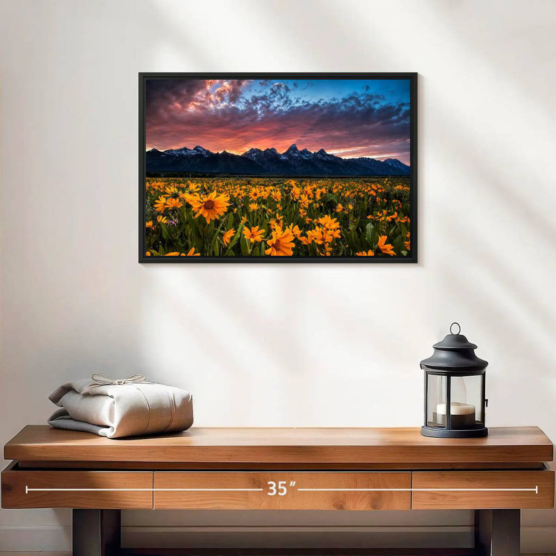 Grand Teton Wildflowers, 19 po x 13 po, Cadre flottant noir