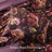 Seraphina 4 Piece Velvet Comforter Set-123495877