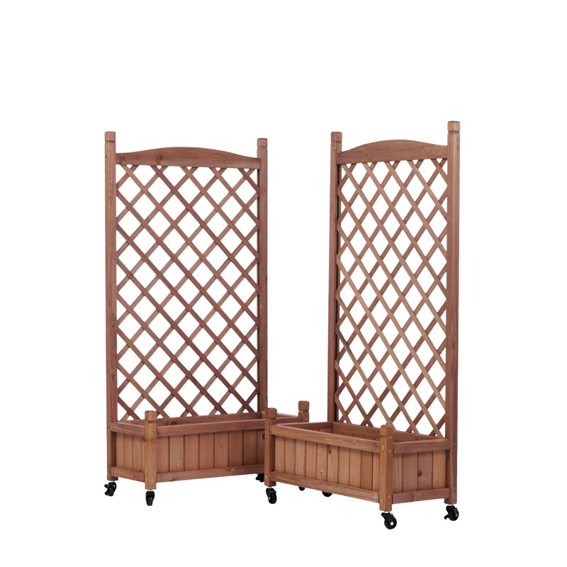 Raised Garden Bed With Trellis 2 Pack