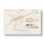 Plesiosaurus Illustration by Charles DOrbigny - Wrapped Canvas-55324785