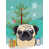 Beige Pug is unavailable