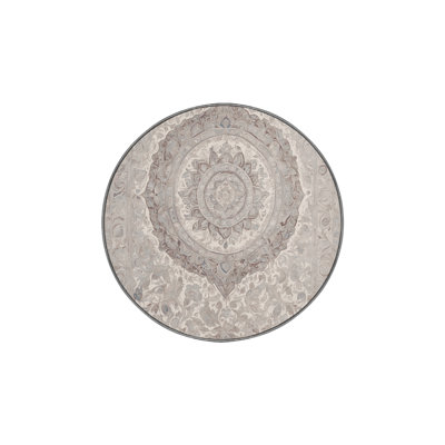 Machine Washable Gray Area Rug