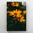 Yellow Flower In Tilt Shift Lens 9 - 1 Piece Rectangle Graphic Art Print On Wrapped Canvas-9935509