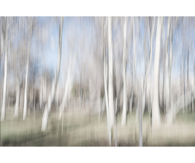 Wrapped Canvas Print, 50.8 cm H x 76.2 cm W
