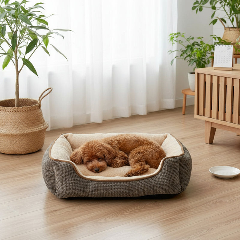 Polyester Pet Bed, Medium (14cm H x 60cm W x 50cm D), Coffee