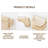 Makeup Storage Organizer Cosmetics Display Case With 2-Layer-1001230672