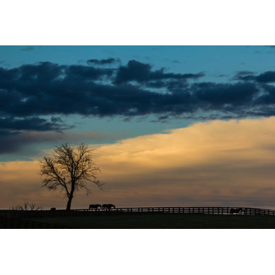 " Kentucky Sunset Silhouette "