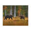 No Frame Print on Canvas-2115114894