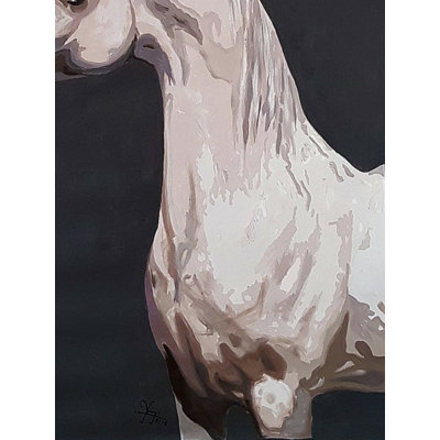 Le cheval blanc | Acrylique sur toile | Par Yogi Kumar