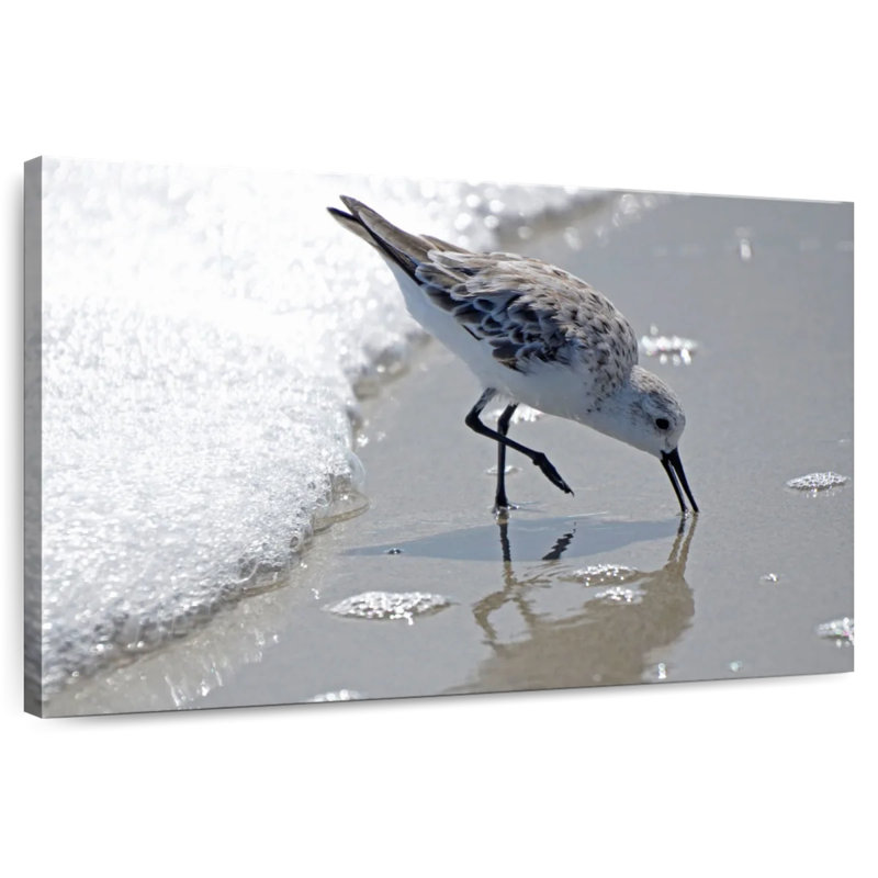Brampt Sandpiper II, 16" H x 24" W